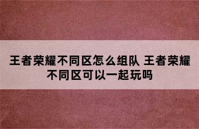 王者荣耀不同区怎么组队 王者荣耀不同区可以一起玩吗